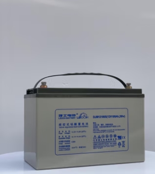 理士/LEOCH 12V100AH 蓄电池 
